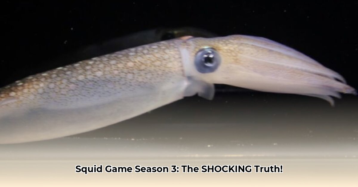 squid-game-season-3-ending-explained-reddit